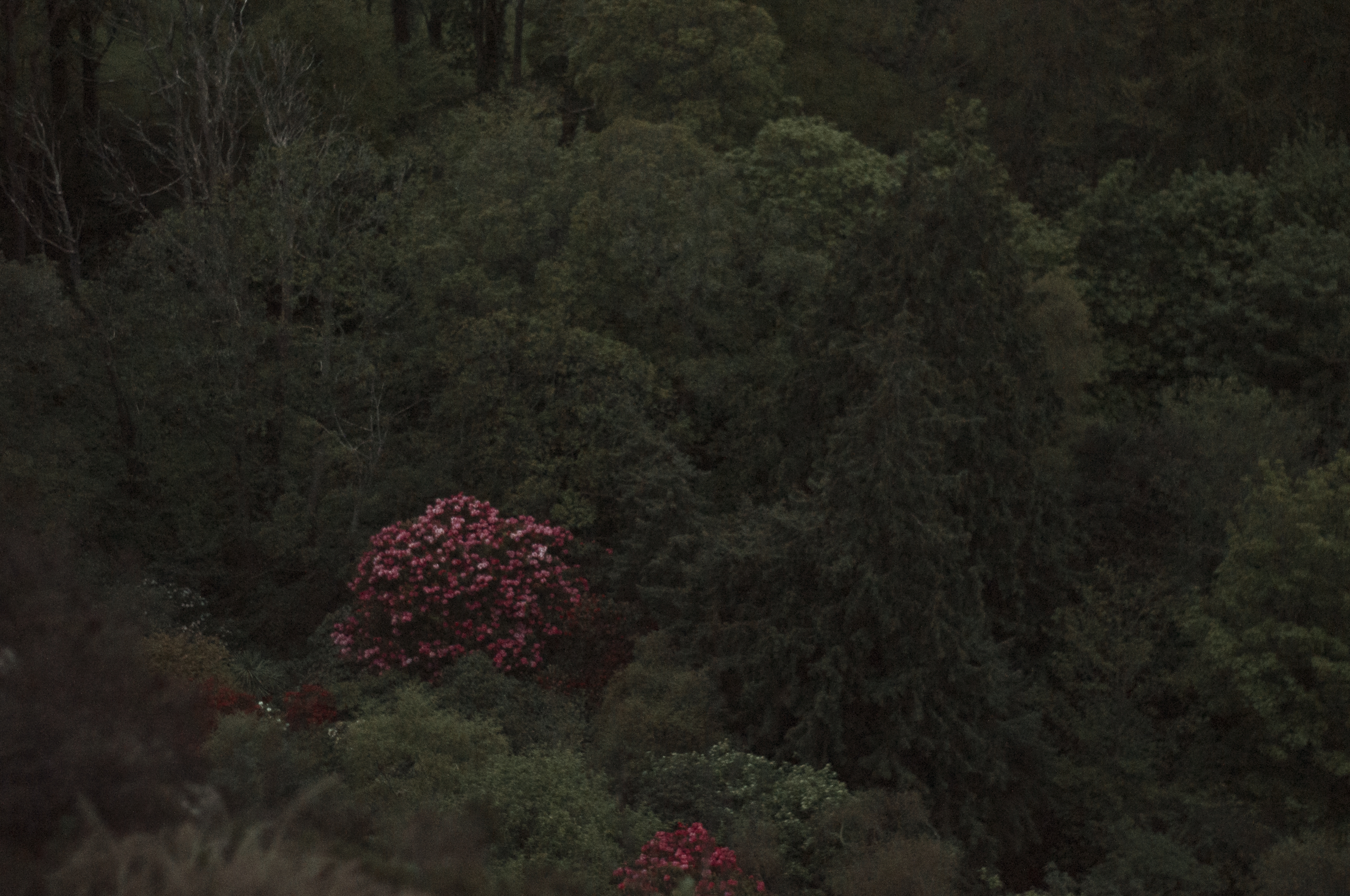 使用Azure学生订阅的100$额度自建代理节点